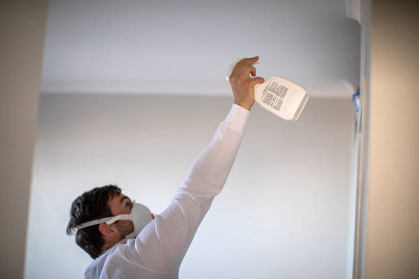 Best Mold Testing  in Bouse, AZ