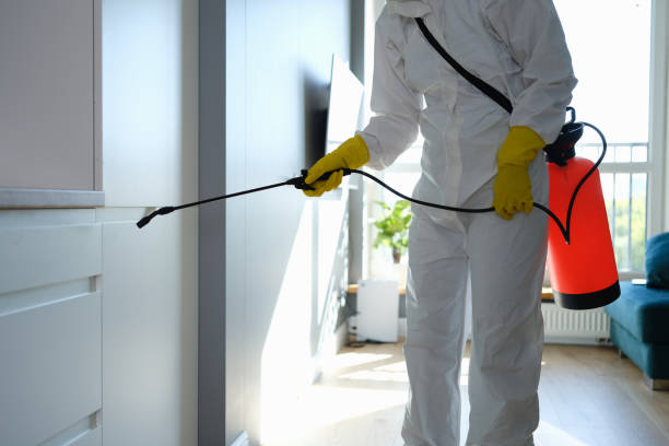 Best Mold Cleaning Services  in Bouse, AZ